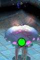 Greater Spotted Jellyfloat attacking 2.jpg