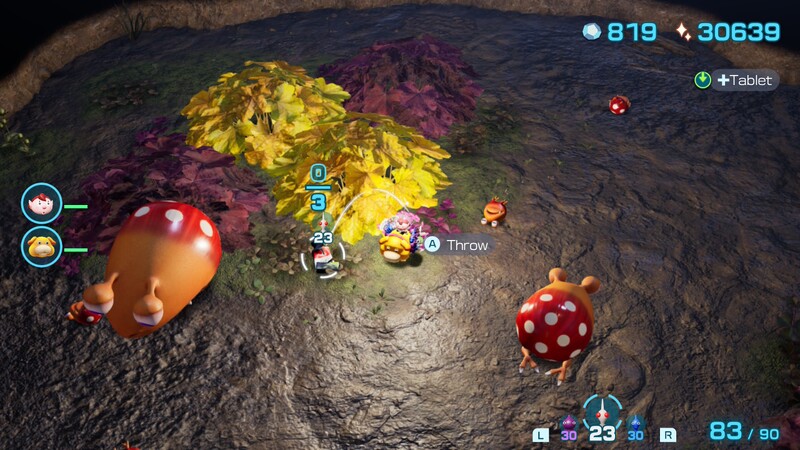 File:P4 Uniquely You Goo location.jpg