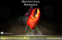 Mysterious Remains 2.jpg