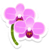 Lifelog artwork of a red moth orchid from Pikmin Bloom.