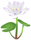 Water Lily Introduced on July 1st, 2024, and comes in white, yellow, red, and blue varieties.