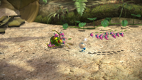 Winged Pikmin fight P3.png
