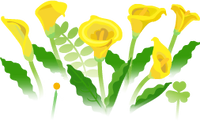 Yellow calla lily flowers icon.png