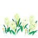 Texture for White Hyacinth Flowers on the map in Pikmin Bloom.