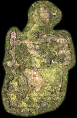 High Definition overhead map of the Awakening Wood.