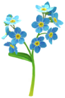 Forget-Me-Not Introduced on May 1st, 2026, and comes in white, yellow, red, and blue varieties.