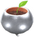 Icon of the silver seedling in Pikmin Bloom.