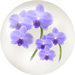 Blue moth orchid nectar from Pikmin Bloom.