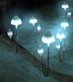 A screenshot of some Common Glowcaps from Pikmin.