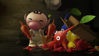 The last scene from The Night Juicer, when Captain Olimar ignores the Pikmin in favor of grabbing two Pikpik Carrots.