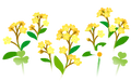 Thumbnail for version as of 02:38, May 1, 2026