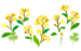 Texture for yellow forget-me-not flowers on the map in Pikmin Bloom.