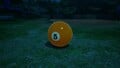 The Sphere of Vitality in the Treasure Catalog during the night.