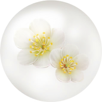 White plum blossom nectar icon.png