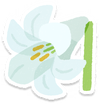 Lifelog artwork of a white lily from Pikmin Bloom.