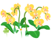 Texture for yellow moth orchid flowers on the map in Pikmin Bloom.