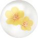 Yellow plum blossom nectar.