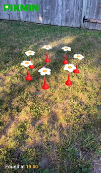 Pikmin Finder Seven Red Sproutes.png