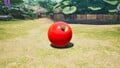 The Aspiration-Ritual Ball in the Treasure Catalog.