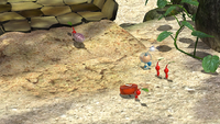 Page 1 of the third unique hint in the Tropical Wilds in Pikmin 3 Deluxe.