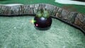 An alternative, more close-up, shot of the treasure in the location it is discovered.
