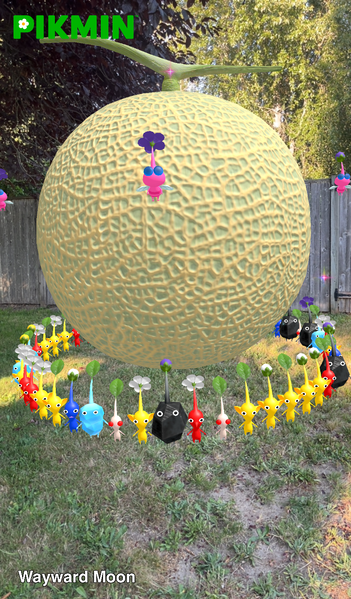 File:Pikmin Finder Wayward Moon.png