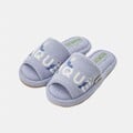 The blue slippers.