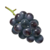 Icon for the Dusk Pustules, from Pikmin 4's Treasure Catalog.