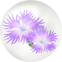 Blue dianthus nectar icon.png