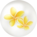 Yellow frangipani nectar ball.