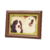 Icon for the Buddy Display, from Pikmin 4's Treasure Catalog.