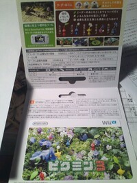 Pikmin 3 Japanse Digital Download card.jpg