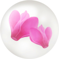 Red cyclamen nectar icon.png