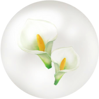 White calla lily nectar icon.png