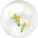 Icon for white calla lily nectar from Pikmin Bloom.