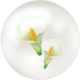 Icon for white calla lily nectar from Pikmin Bloom.