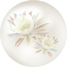 White orchid cactus nectar from Pikmin Bloom.