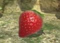 Close-up of the Sunseed Berry in Pikmin 3.