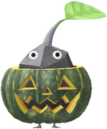 南瓜燈 岩皮克敏