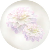 White dahlia nectar icon.png