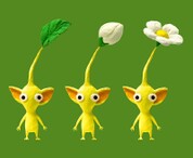 The three stages of Yellow Pikmin.