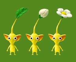 The three stages of Yellow Pikmin.