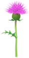 Thumbnail for version as of 06:45, October 1, 2026
