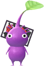 花札-第一彈-藤 紫皮克敏