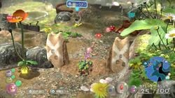 A screenshot from a promotional video on Pikmin 3 Deluxe, showing the retextured ground in the southern area of the Garden of Hope - it is no longer grassy. Also shown is a new pattern on the dirt wall, and a box saying to press  to lock onto an enemy. From https://youtu.be/hSujRBzq9QE?t=44