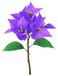 Blue bougainvillea Big Flower in Pikmin Bloom.