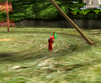 The first Red Pikmin after being plucked out.