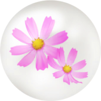 Red cosmos nectar icon.png