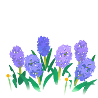 Blue hyacinth flowers icon.png