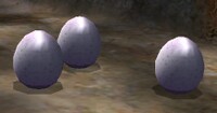 P2 eggs.jpg